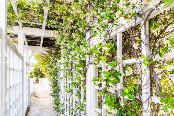 Cost of Trellis Repair in Provo