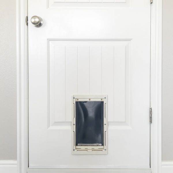 Cost of Pet Door Repair in Provo