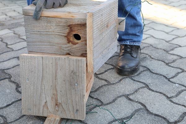 Cost of Birdhouse Mounting in Provo